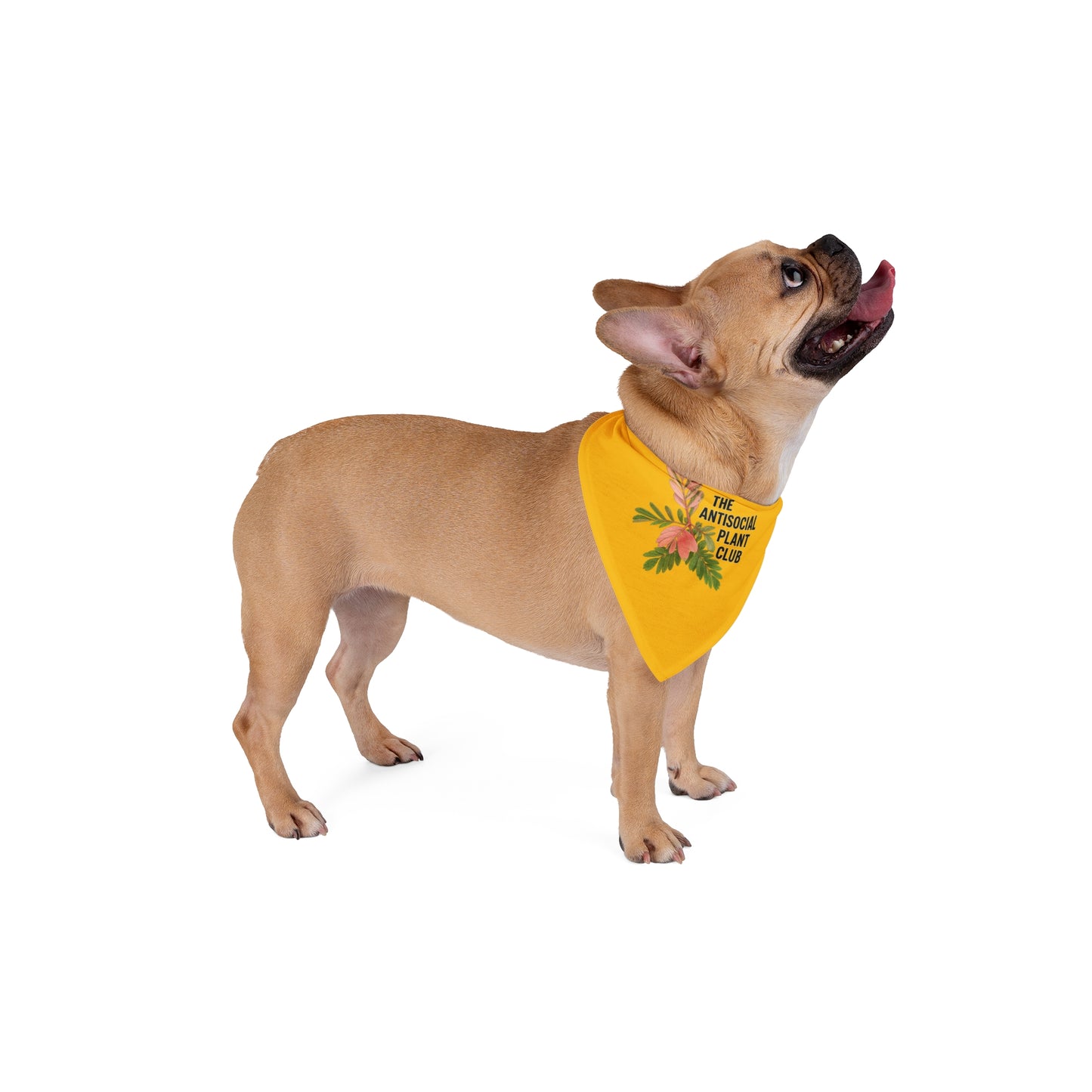 Pet Bandana — "The Antisocial Plant Club" Floral Dog & Cat Bandana, Yellow