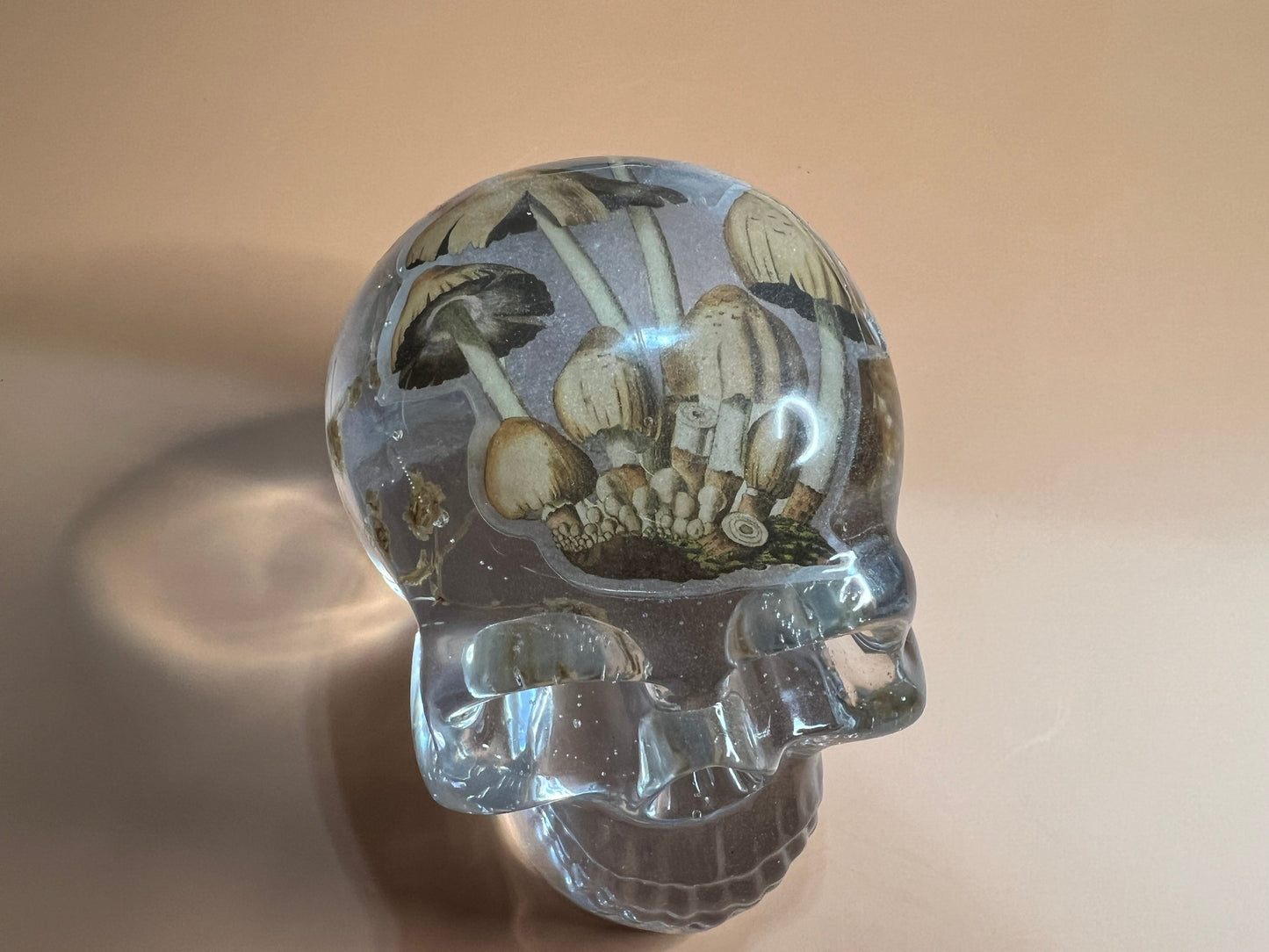 Skull with Mushroom and Flowers