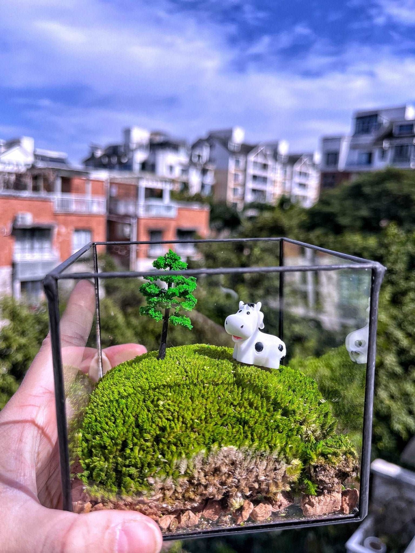 Handmade Glass Terrarium Mossbox Happy Chubby Cow Micro Landscape with Unique Artisan Design