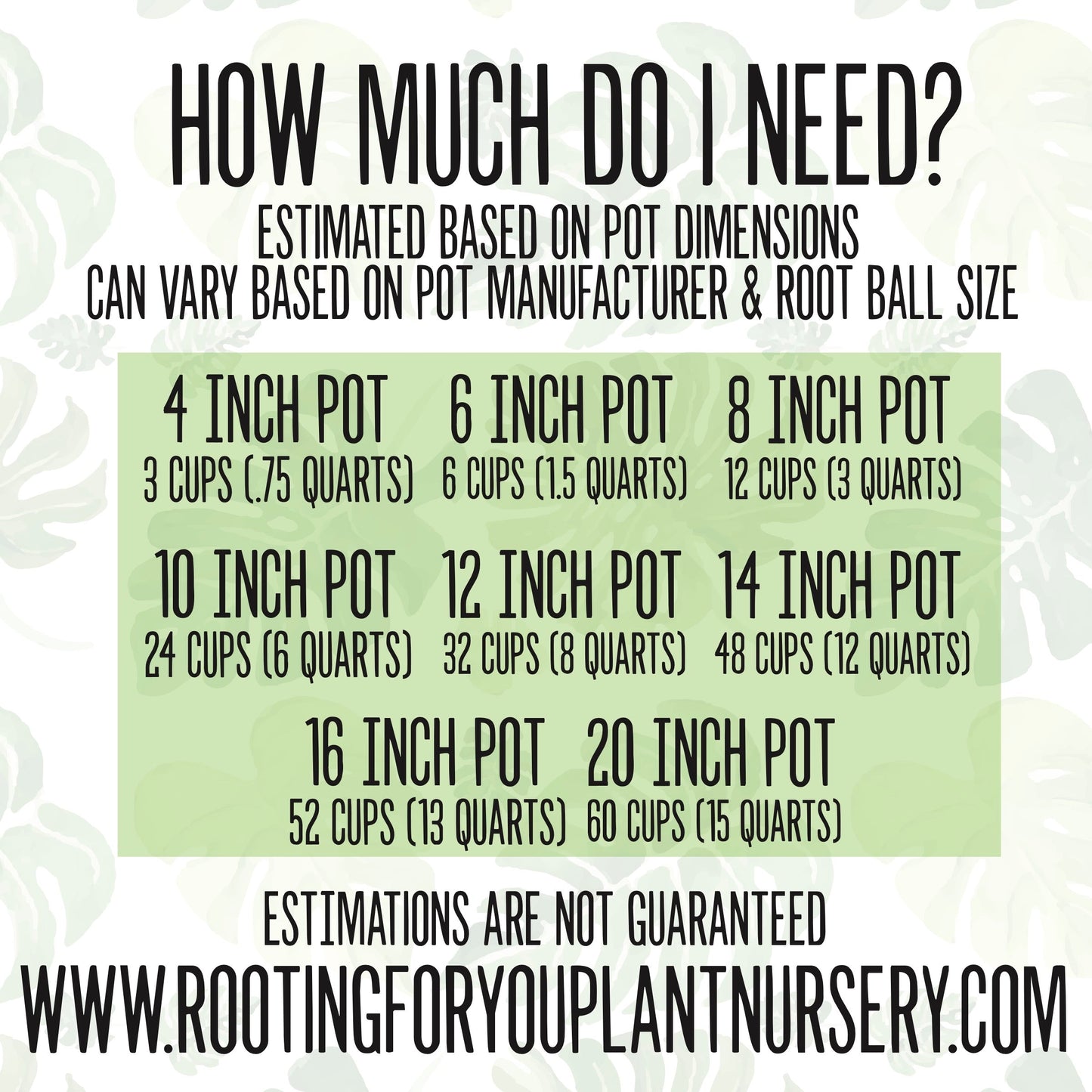 ZZ Plant Premium Potting Mix