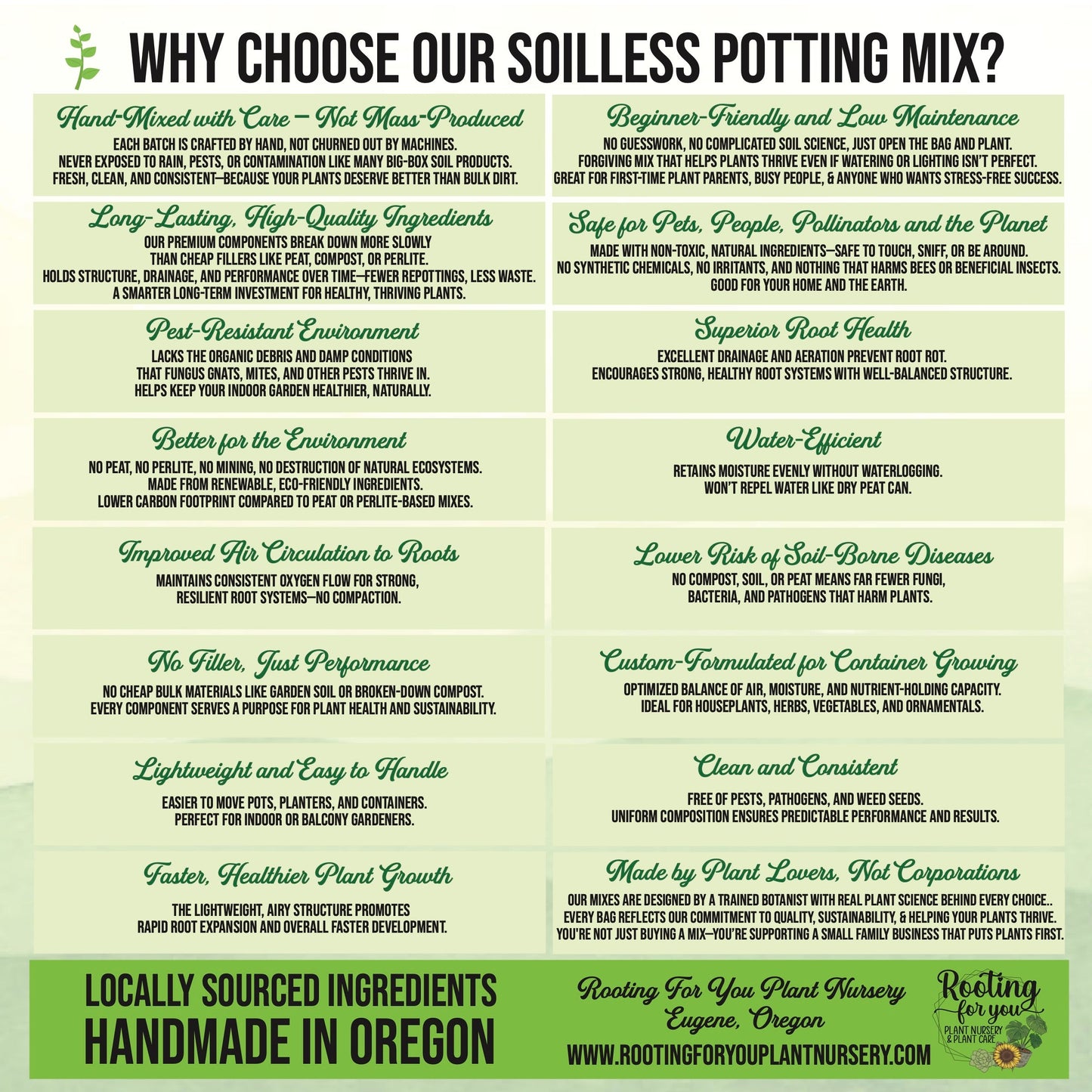 Schismatoglottis Premium Potting Mix
