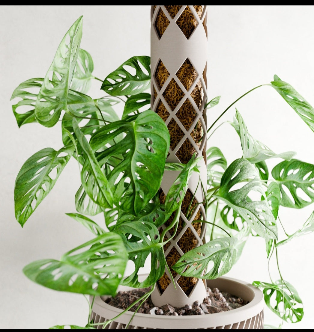 Plant support