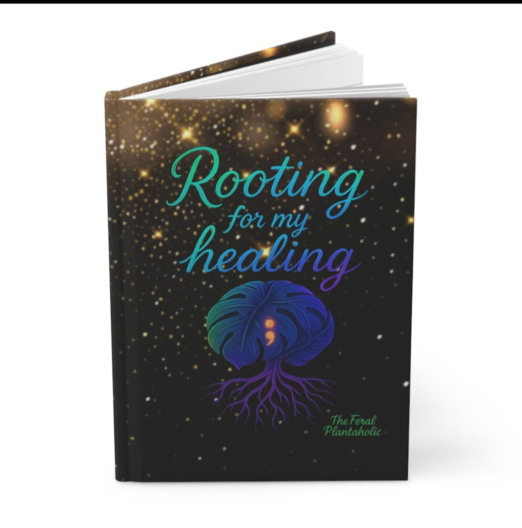 Notebooks & more