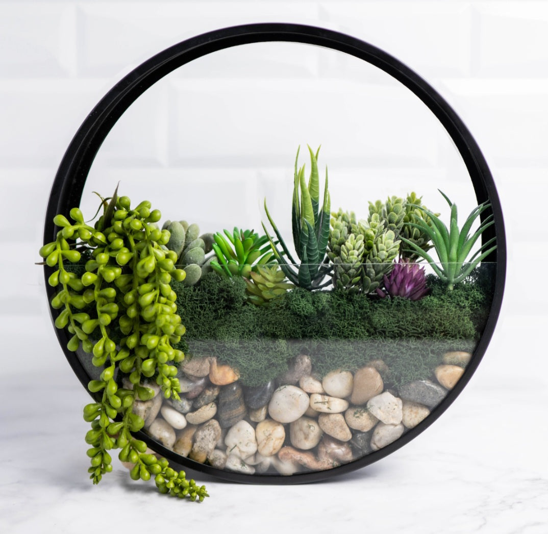 Terrariums: Glass bound gardens