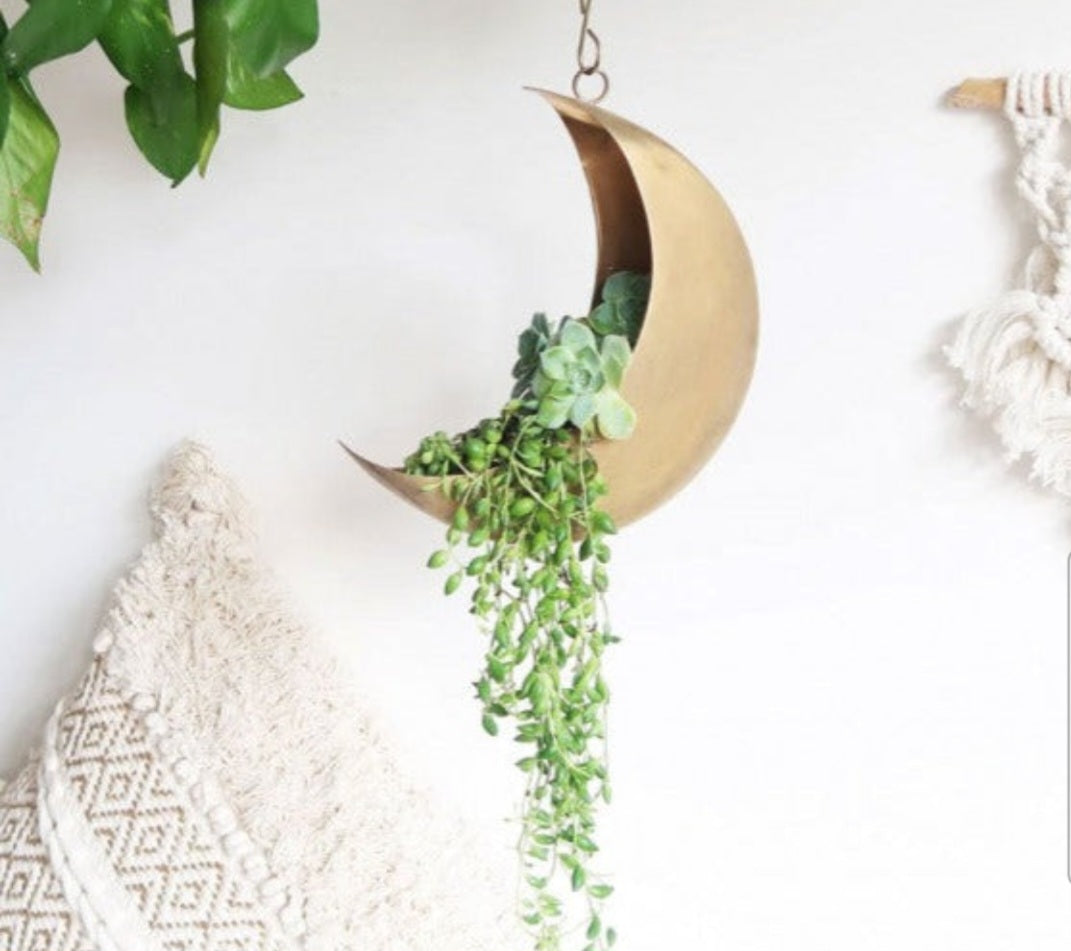 Planters (hanging)
