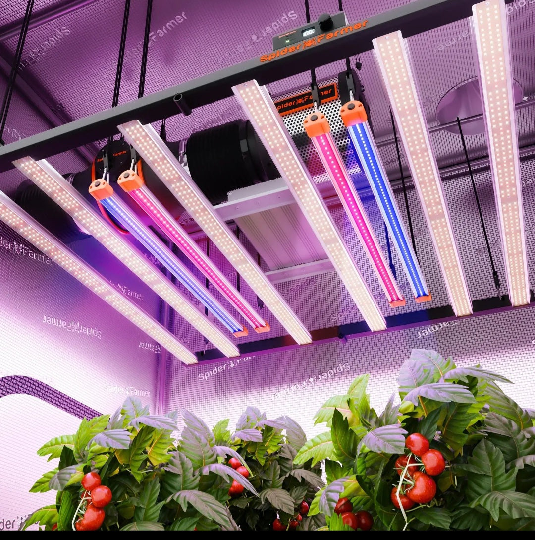 Grow lights