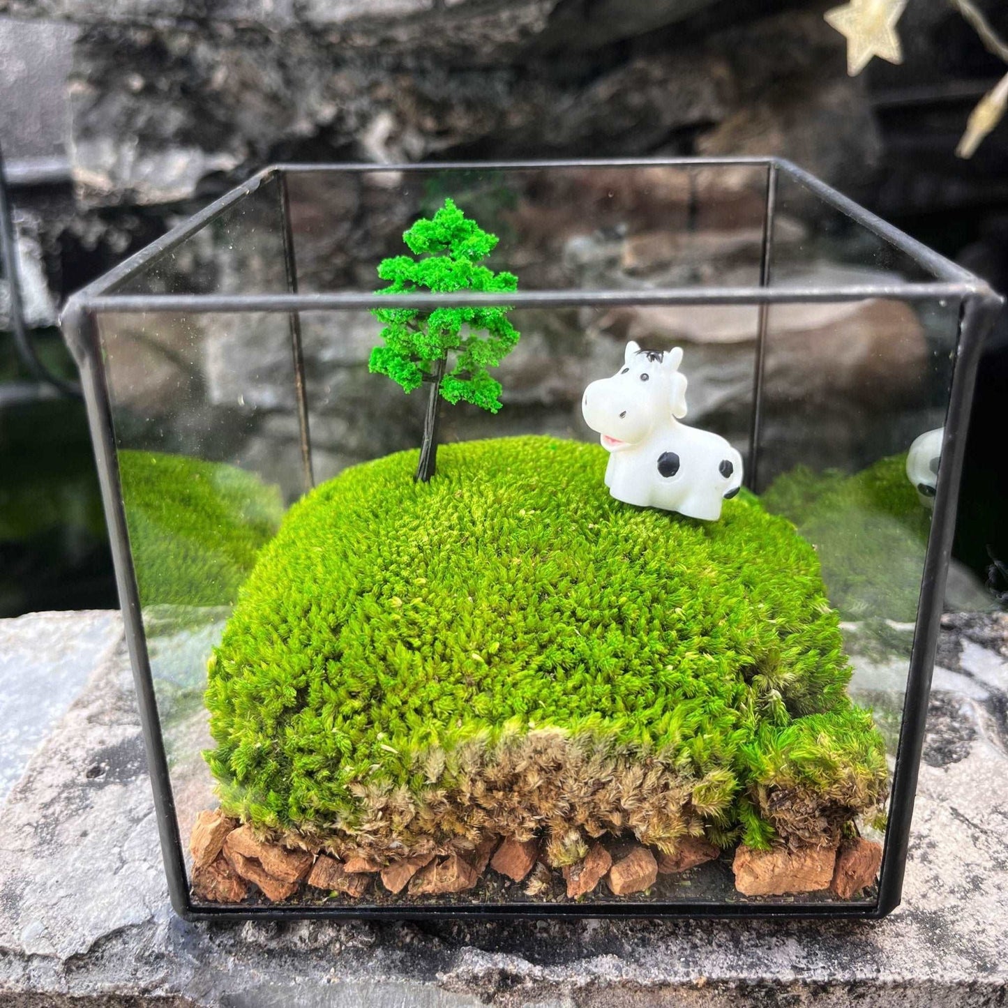 Handmade Glass Terrarium Mossbox Happy Chubby Cow Micro Landscape with Unique Artisan Design