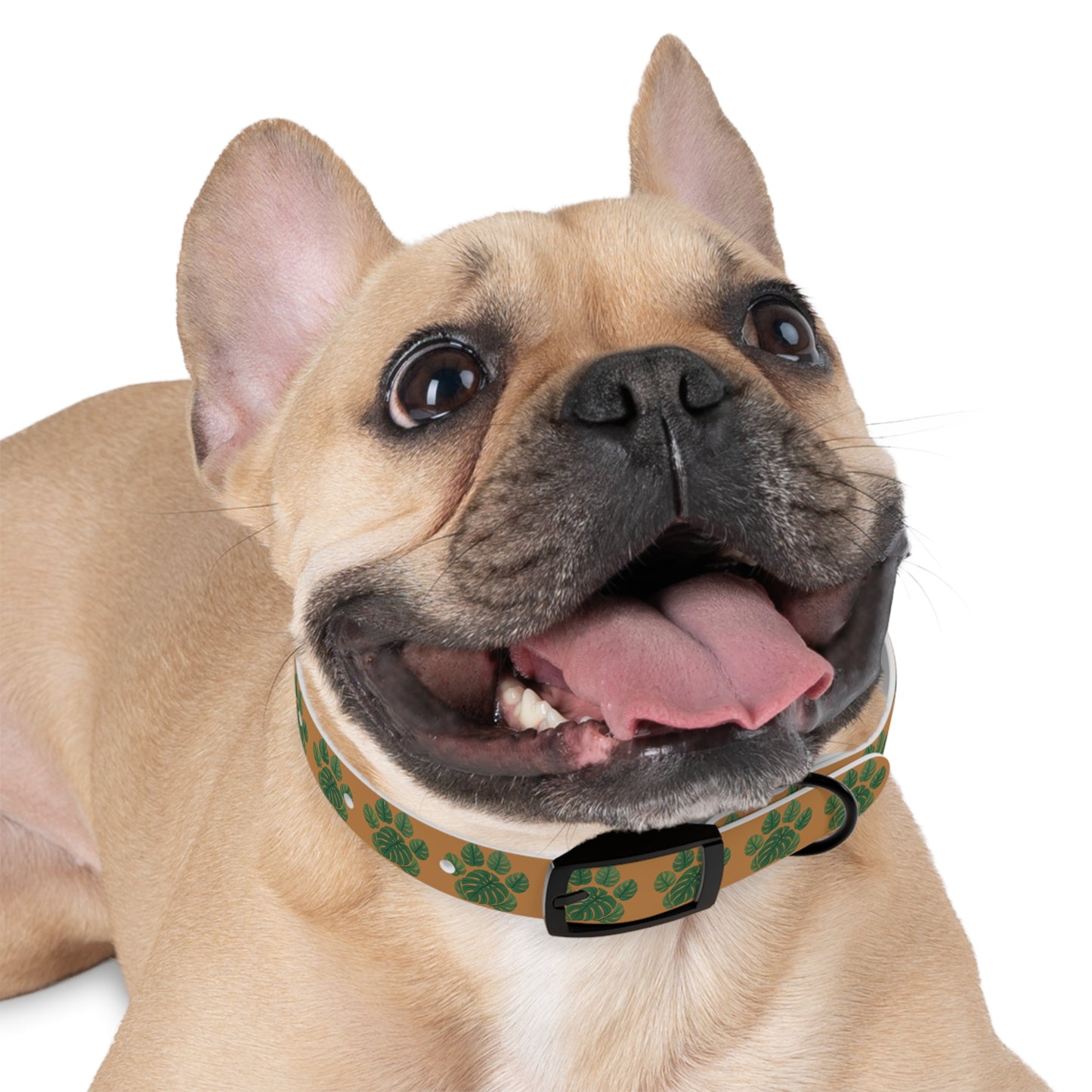 Monstera Leaf Dog Collar — Tropical Green Plant Pattern Pet Collar