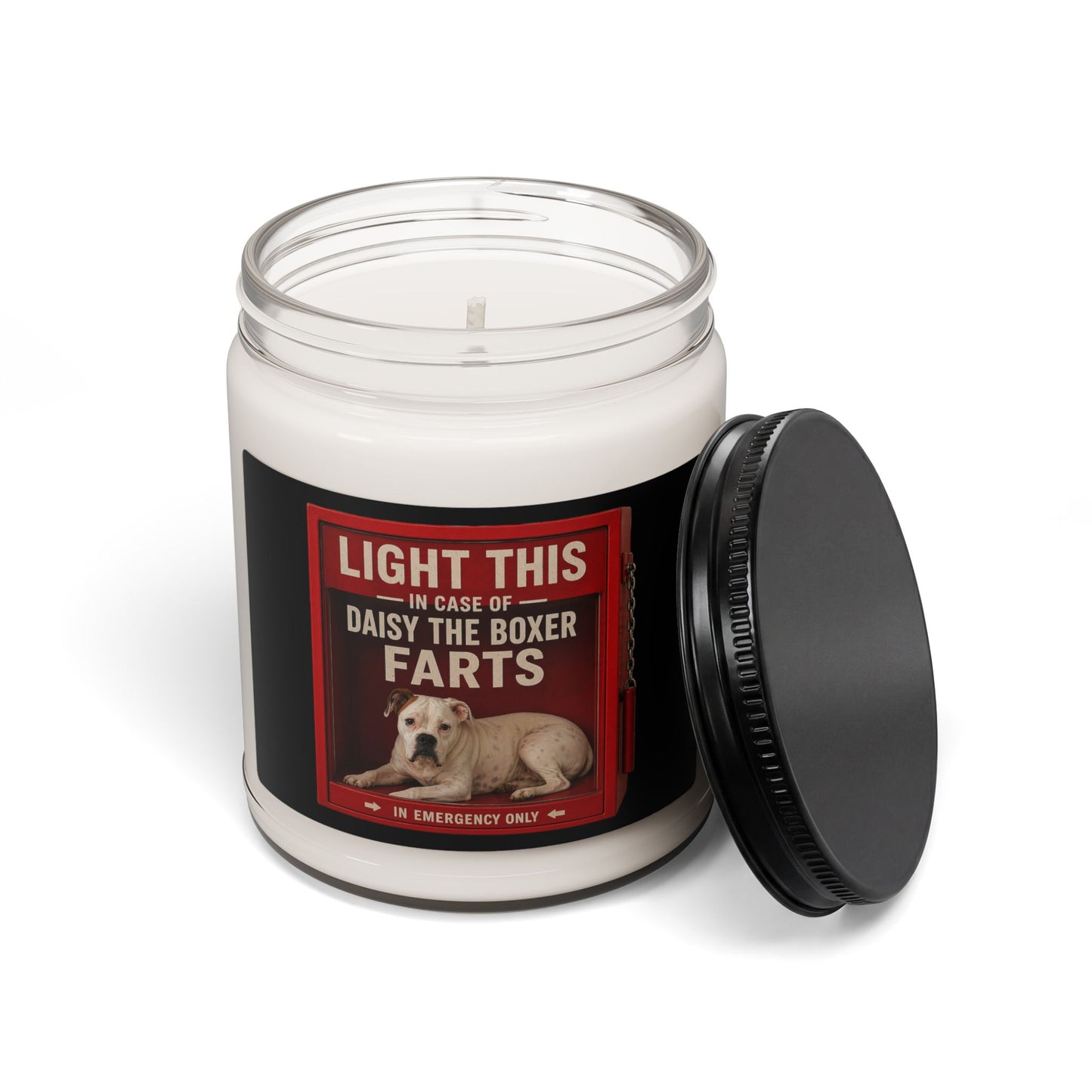 Soy Candle — "Light This In Case of Daisy the Boxer Farts" (9oz)