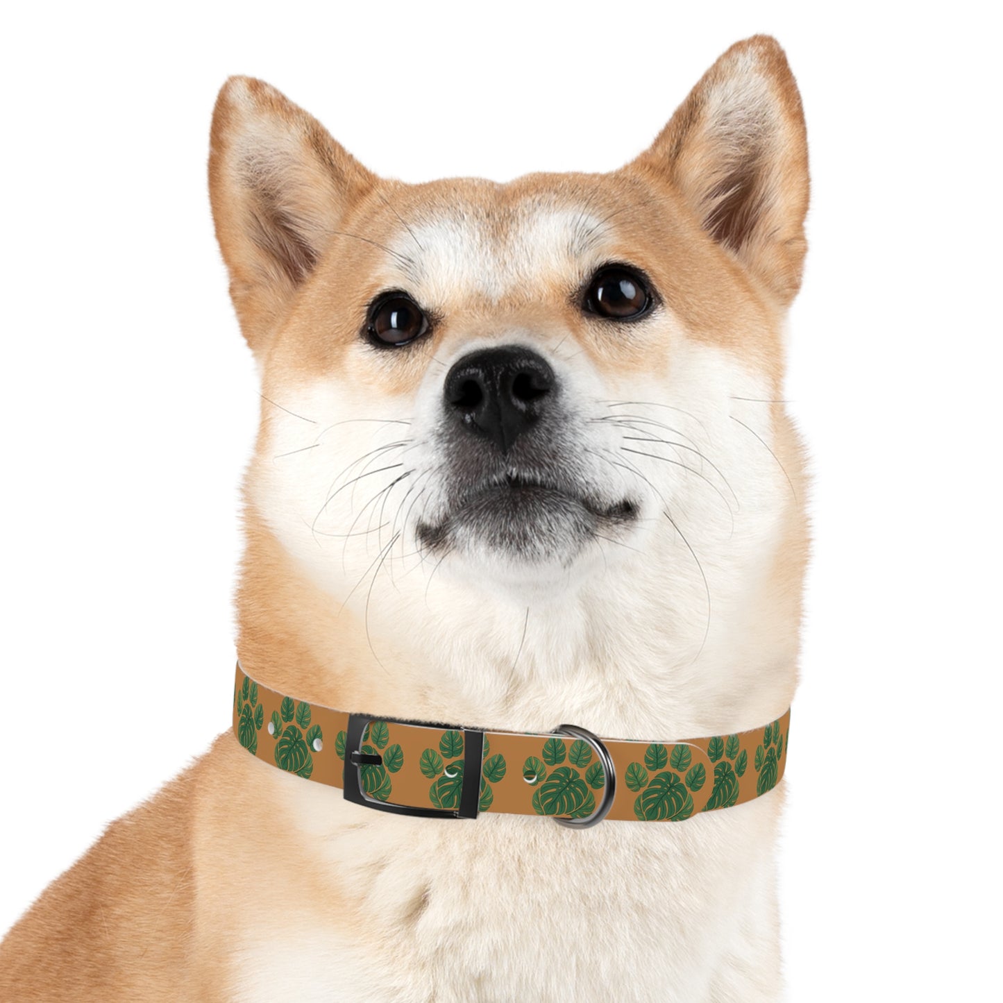 Monstera Leaf Dog Collar — Tropical Green Plant Pattern Pet Collar