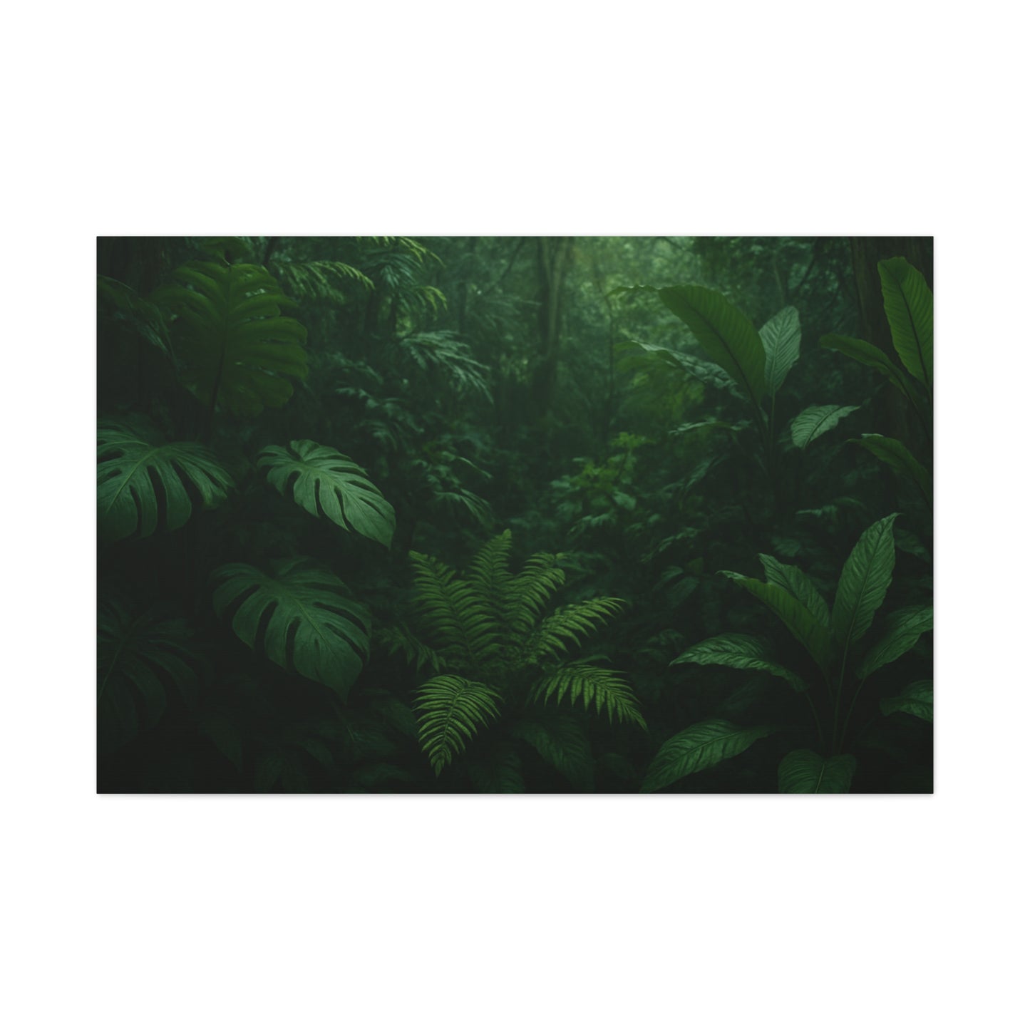 Jungle Matte Canvas Wall Art — Lush Green Tropical Forest Print (Stretched 1.25")