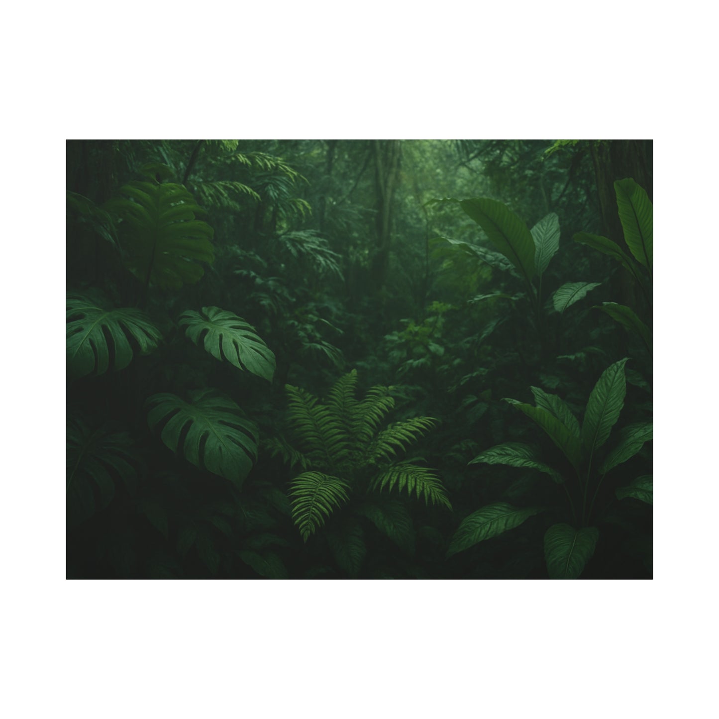 Jungle Matte Canvas Wall Art — Lush Green Tropical Forest Print (Stretched 1.25")