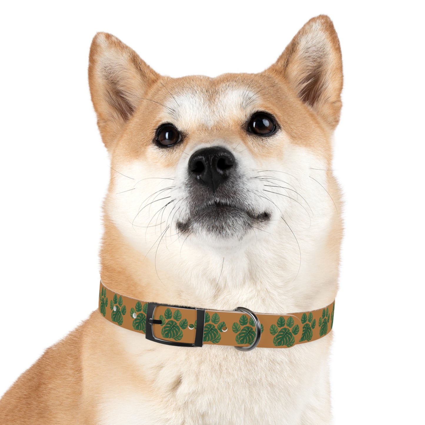 Monstera Leaf Dog Collar — Tropical Green Plant Pattern Pet Collar