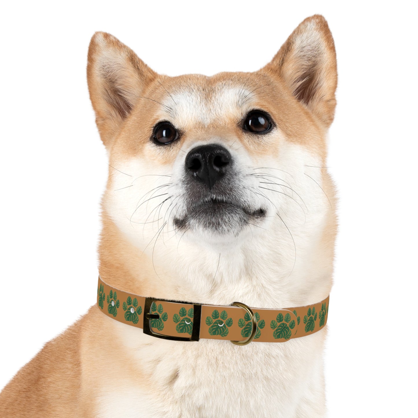 Monstera Leaf Dog Collar — Tropical Green Plant Pattern Pet Collar