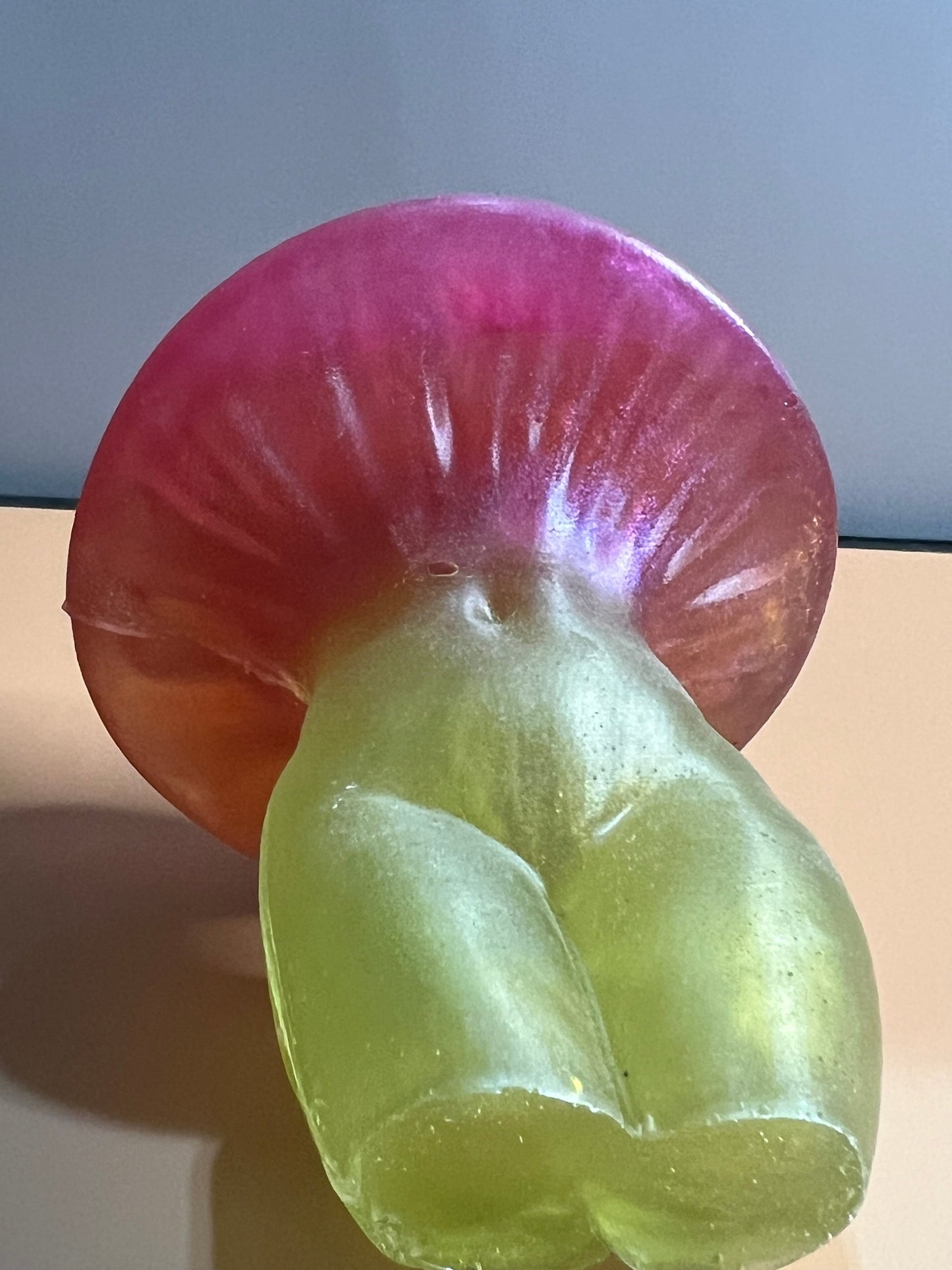 Mushroom Lady