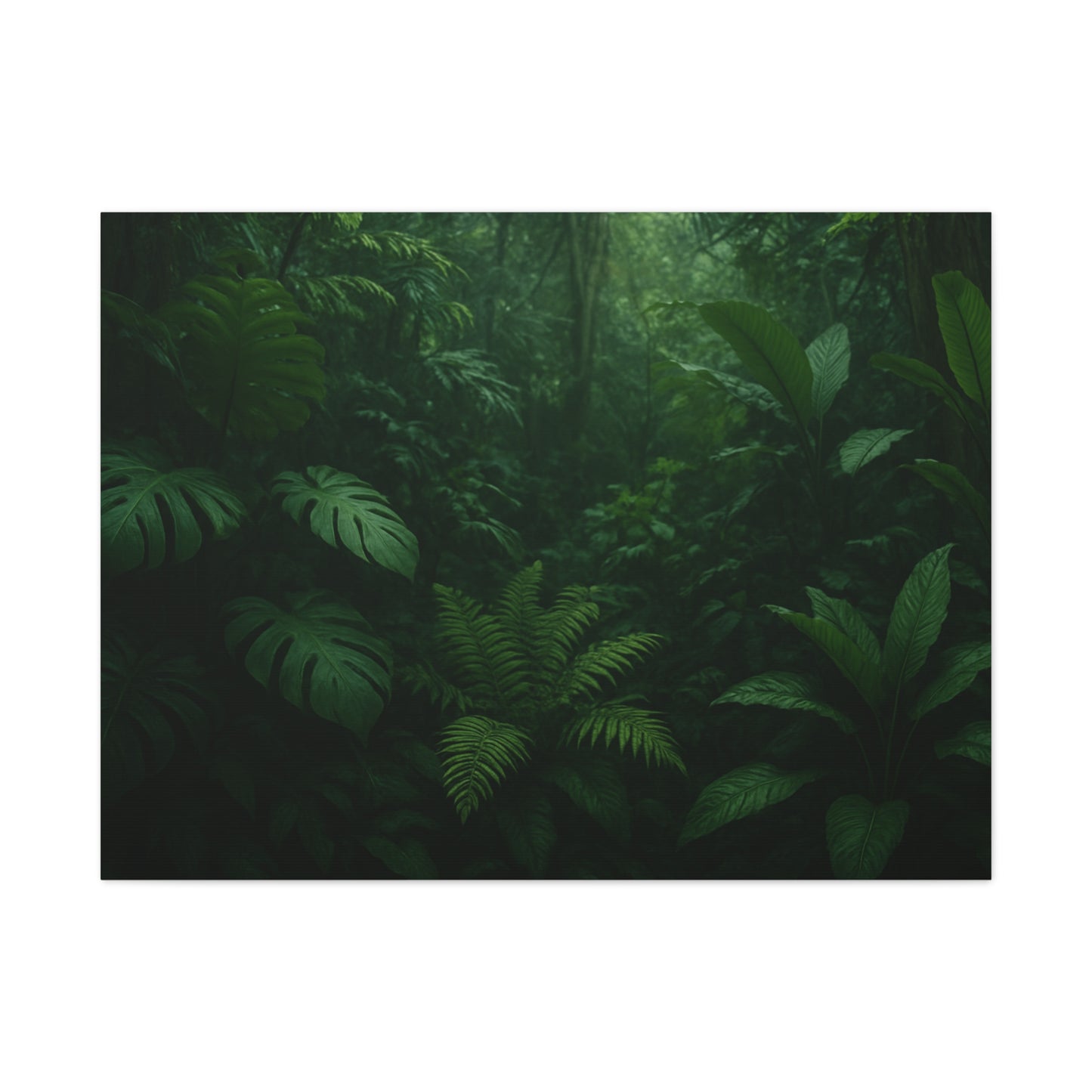Jungle Matte Canvas Wall Art — Lush Green Tropical Forest Print (Stretched 1.25")