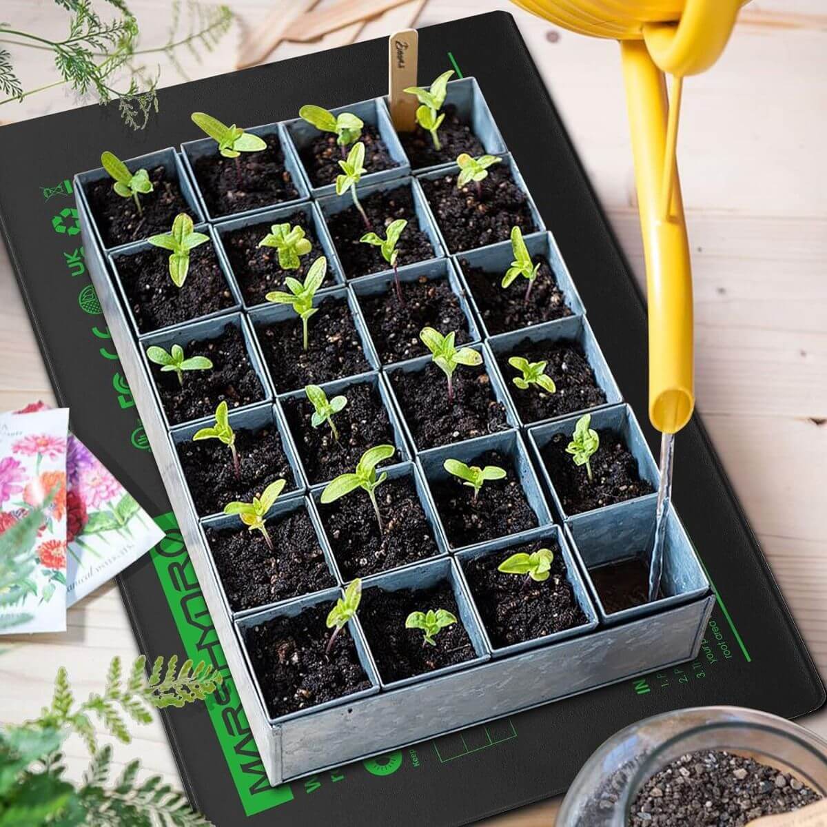 Mars Hydro 10'' x 20.75'' Seedling Heat Mat and Digital Thermostat Combo