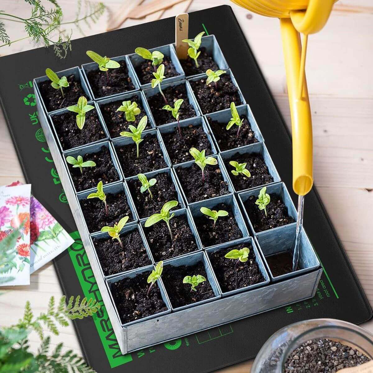 Mars Hydro 10'' x 20.75'' Seedling Heat Mat and Digital Thermostat Combo
