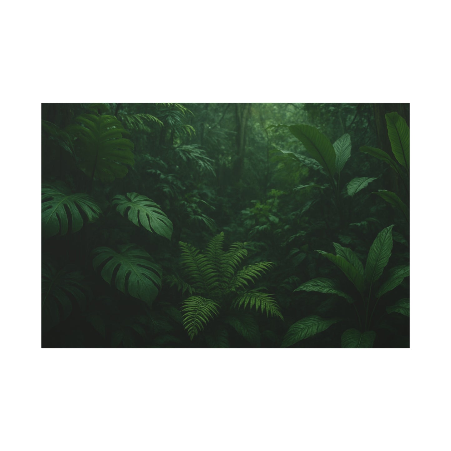 Jungle Matte Canvas Wall Art — Lush Green Tropical Forest Print (Stretched 1.25")