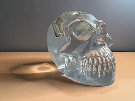Skull with Mushrooms