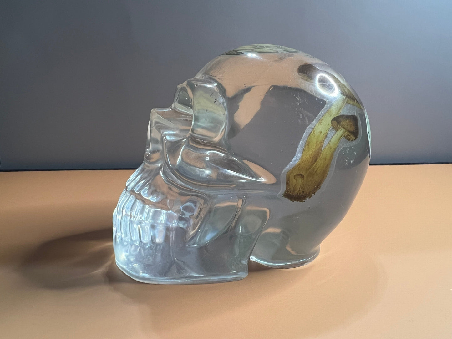 Skull with Mushrooms