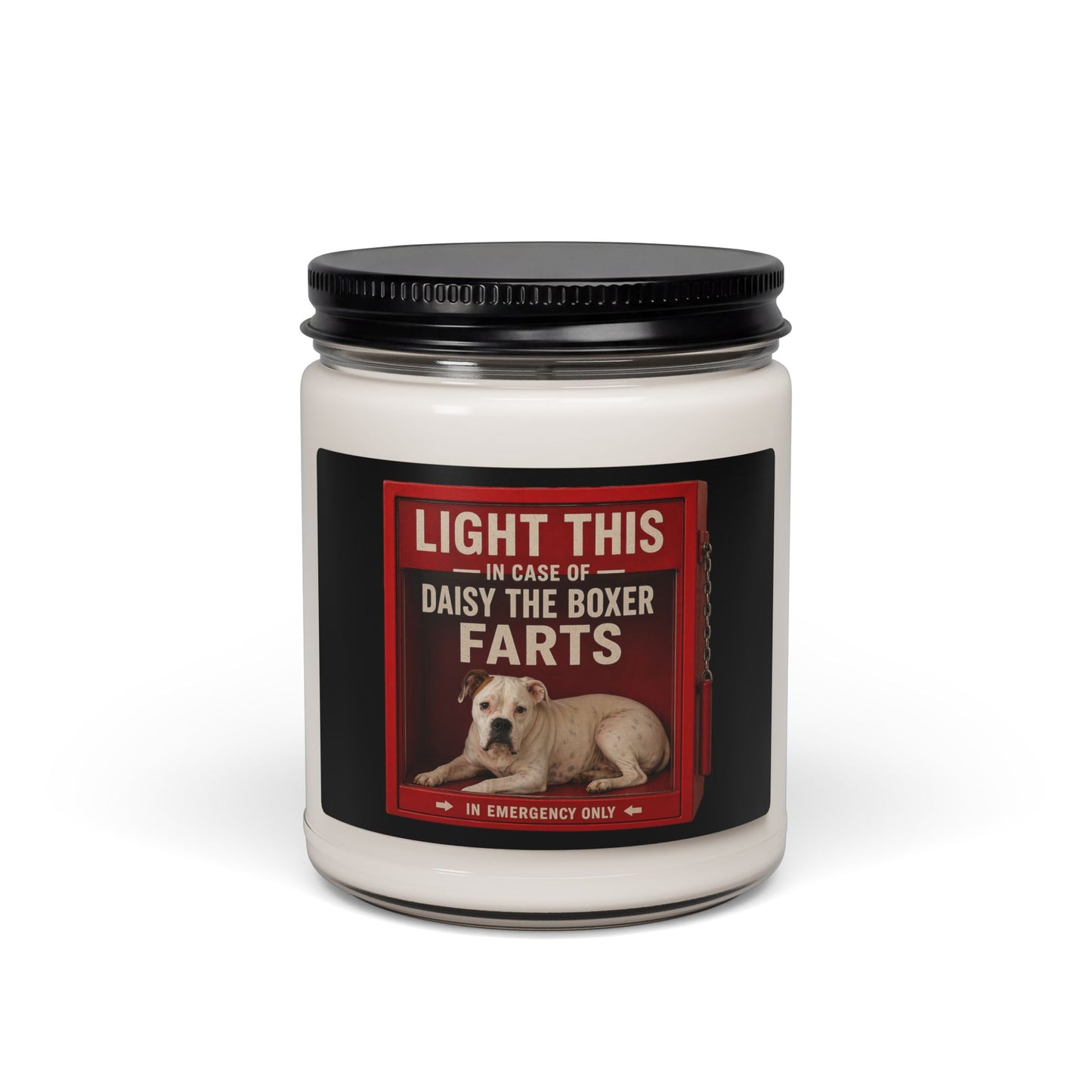 Soy Candle — "Light This In Case of Daisy the Boxer Farts" (9oz)