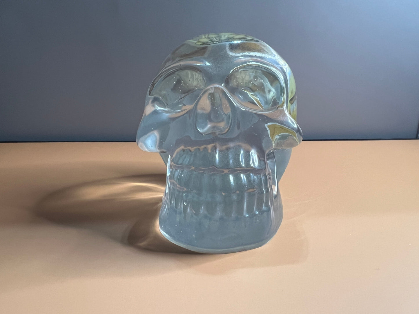 Skull with Mushrooms