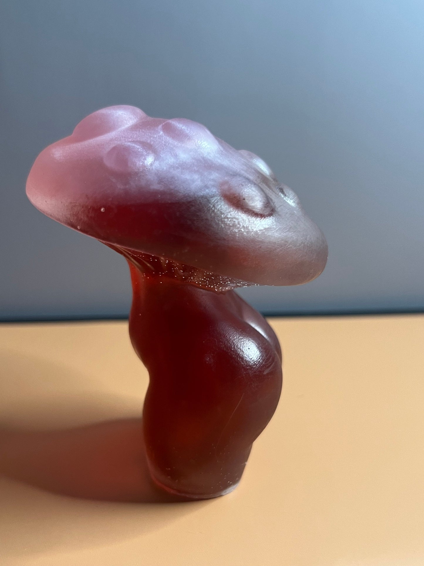 Mushroom Lady