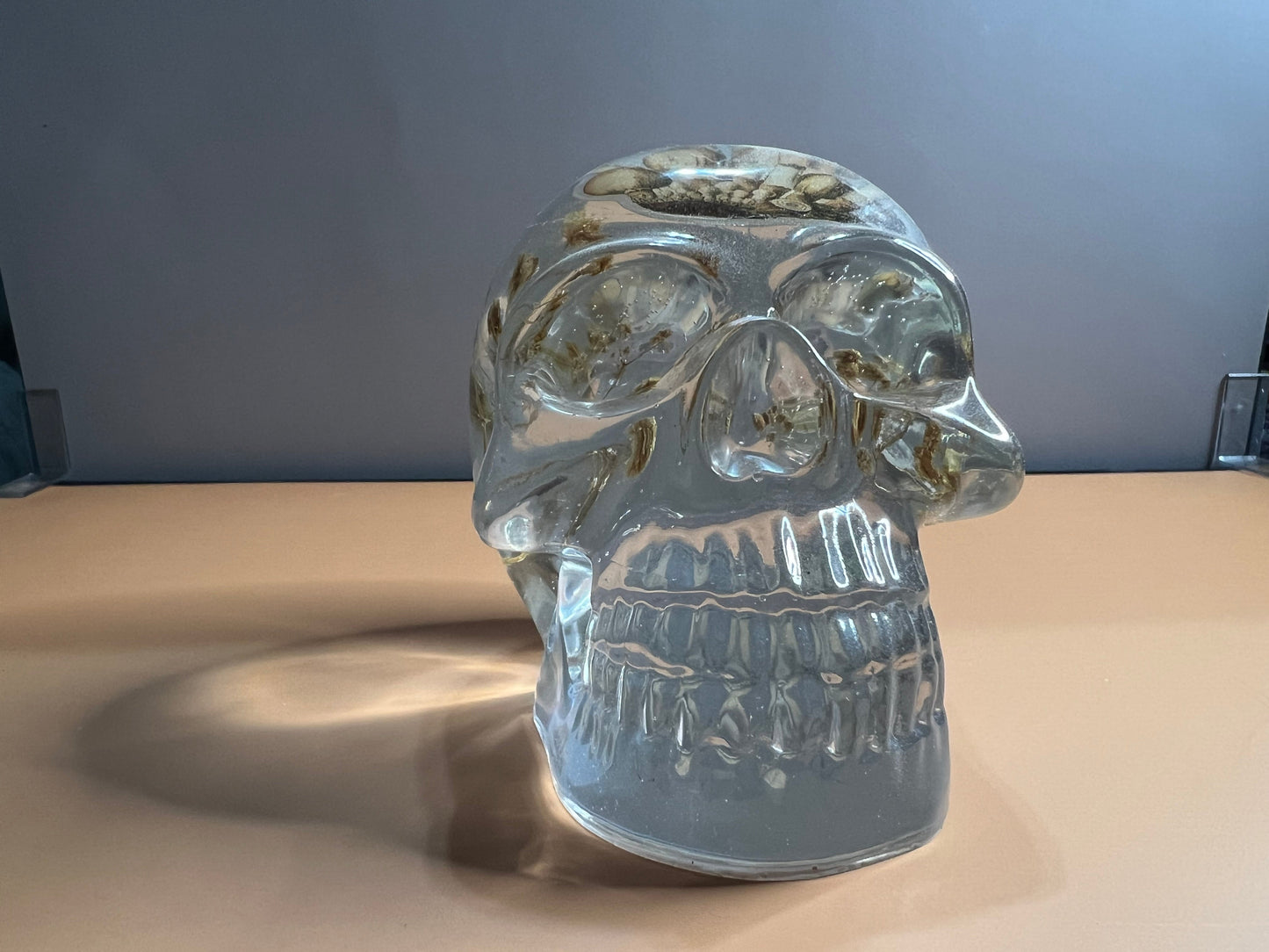 Skull with Mushroom and Flowers