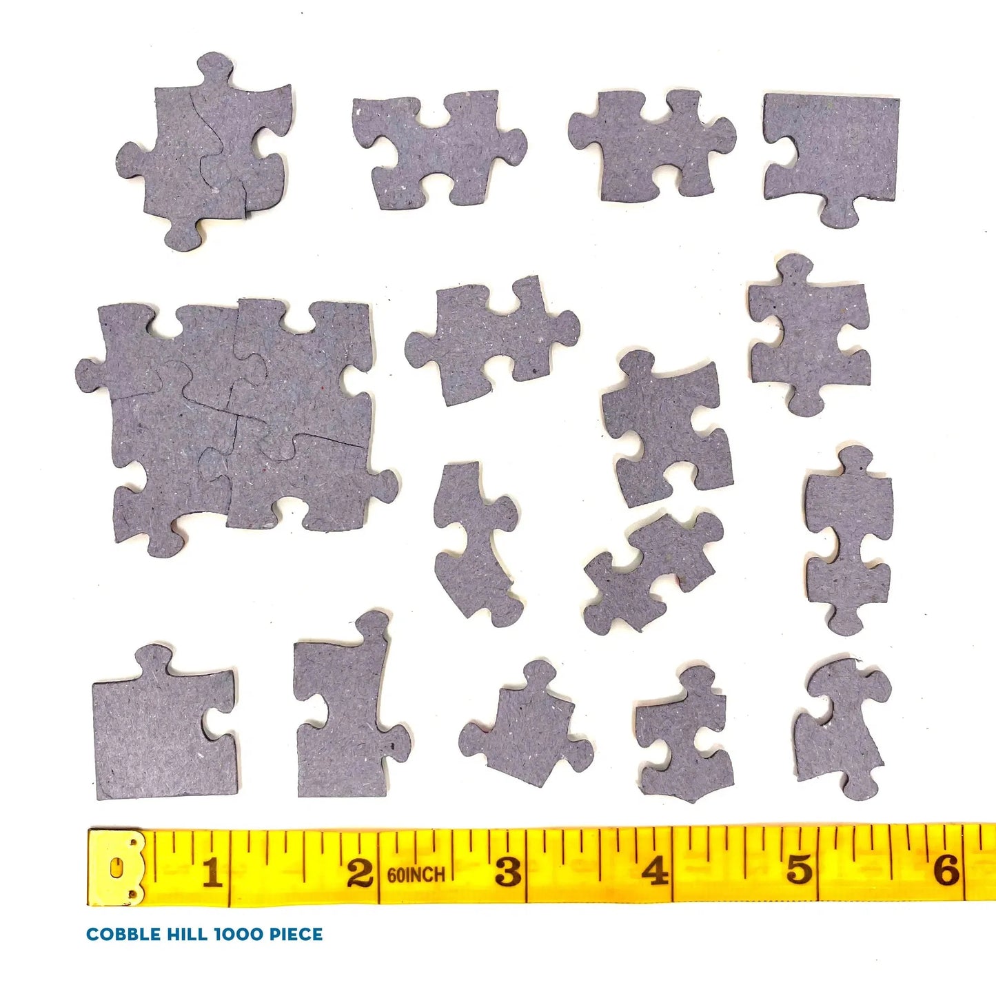 Cactus Garden 1000 Piece Jigsaw Puzzle Cobble Hill