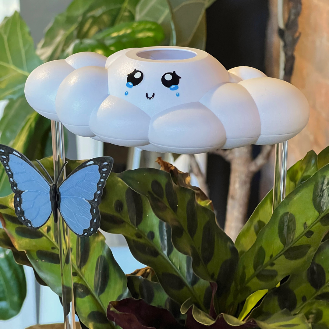 Clara The Cloud