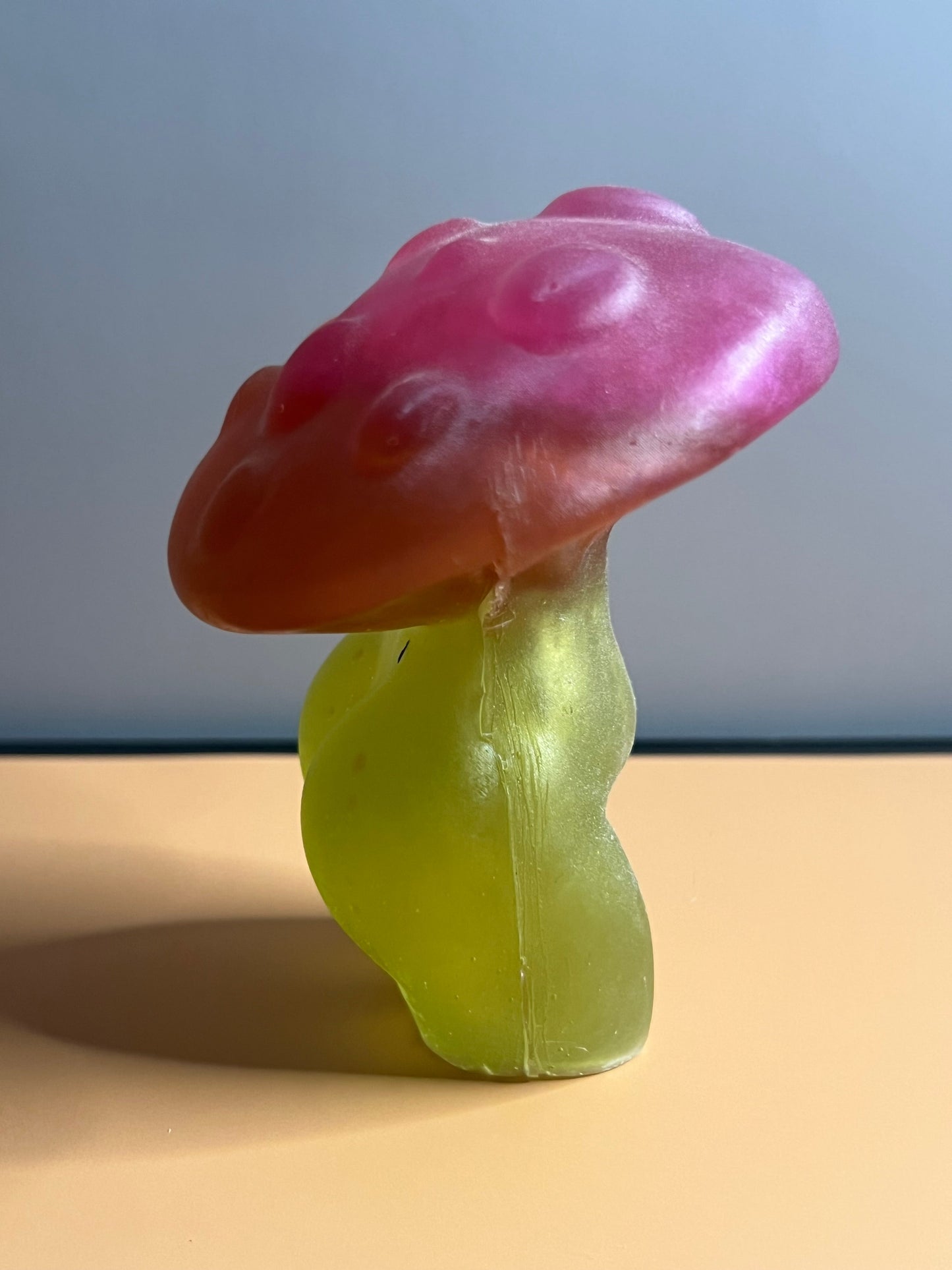 Mushroom Lady