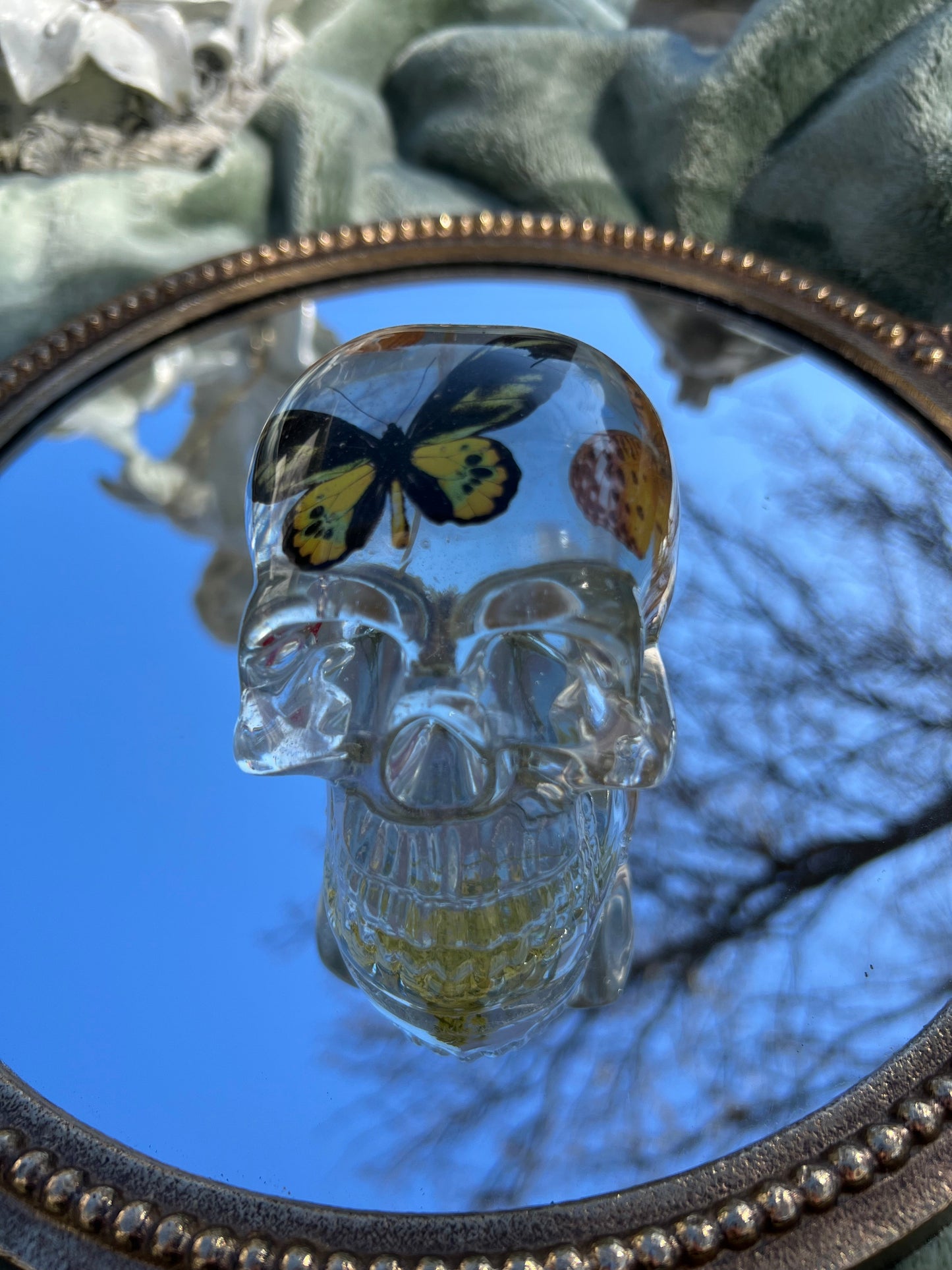 butterfly skull with flowers
