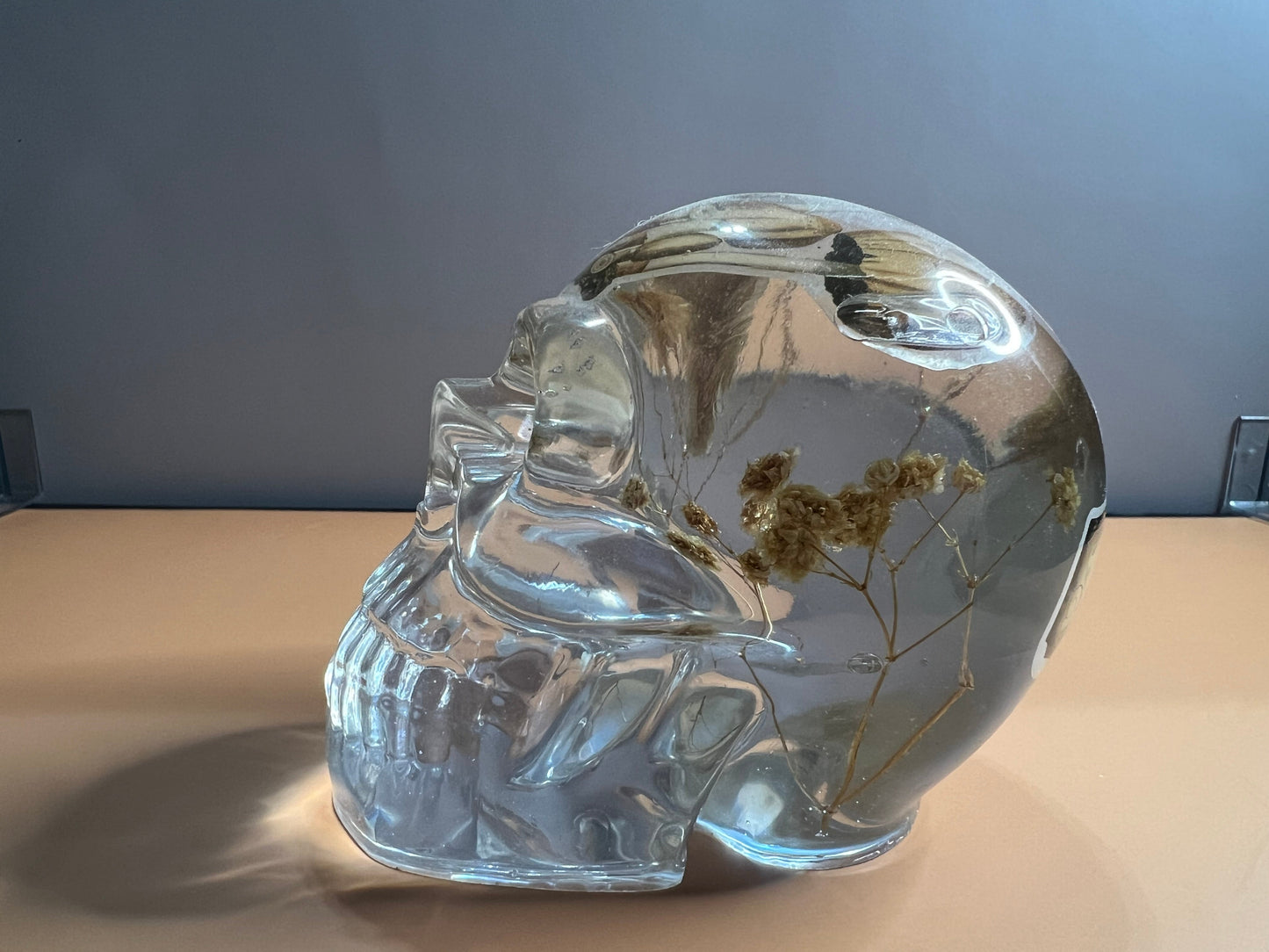 Skull with Mushroom and Flowers