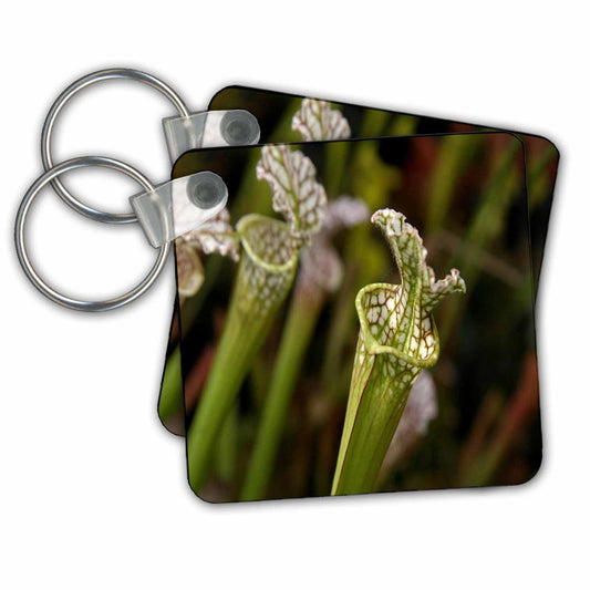 3dRose Key Chains Floral Trumpet Pitcher Plant (kc-284613-1)