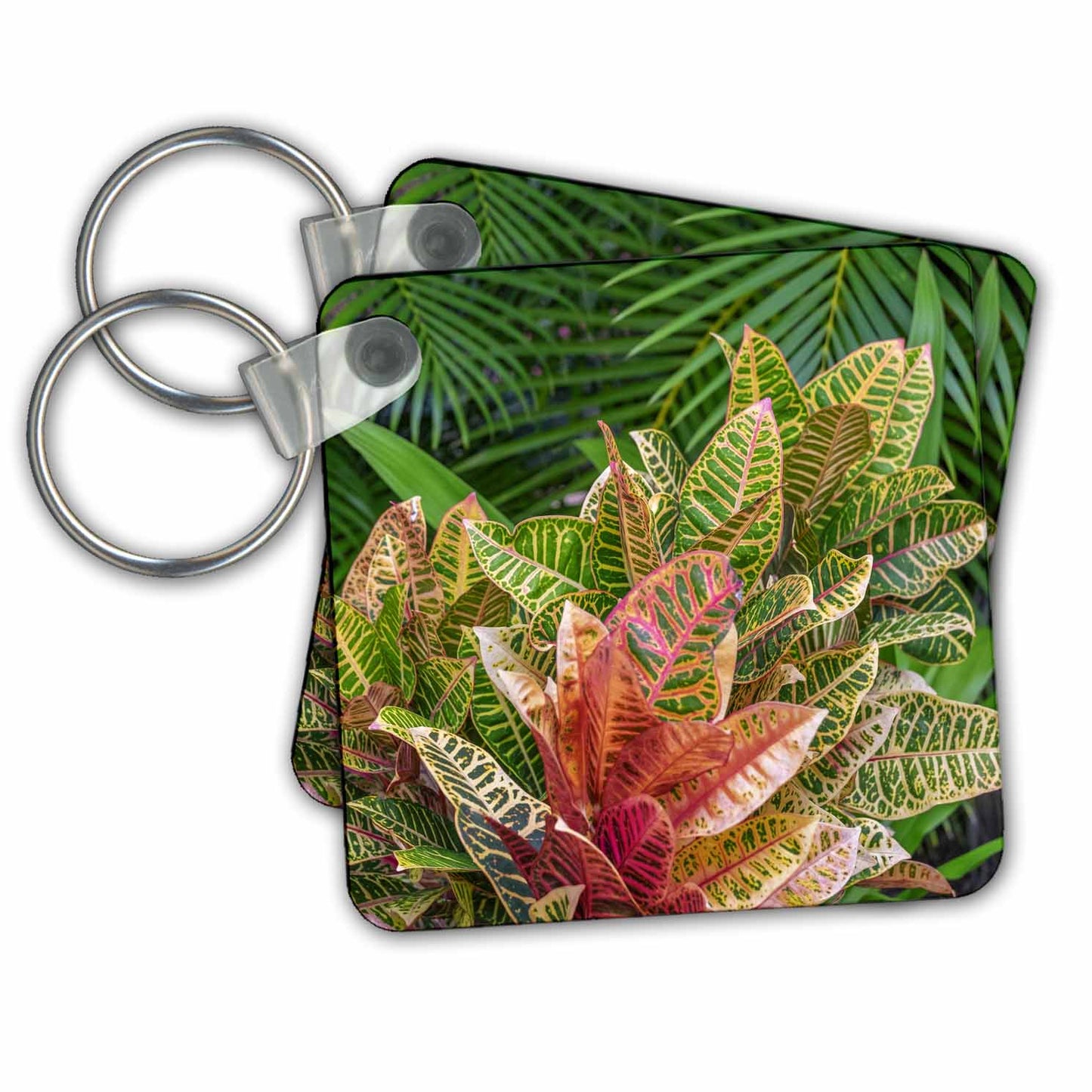 Key Chain - Palm fronds and Croton plants. Leaves