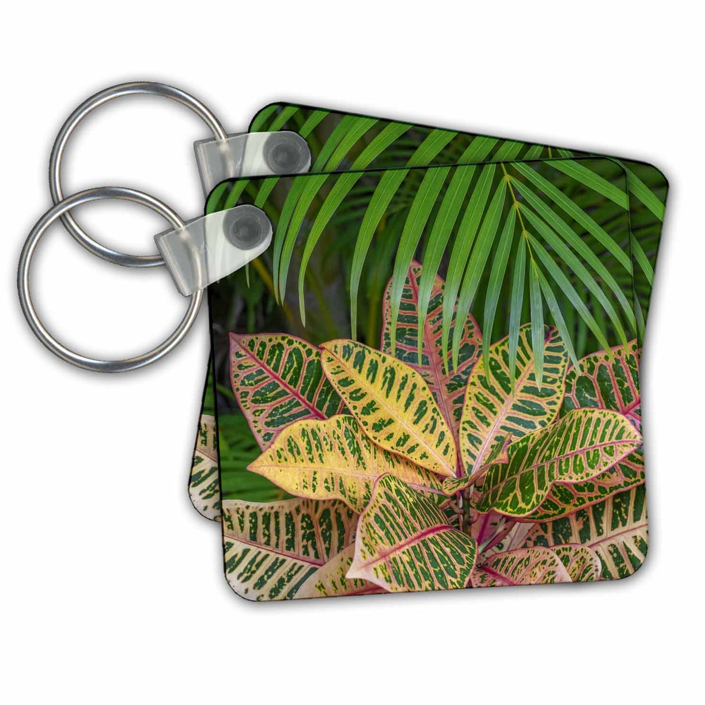Key Chain - Palm fronds and Croton plants. Leaves