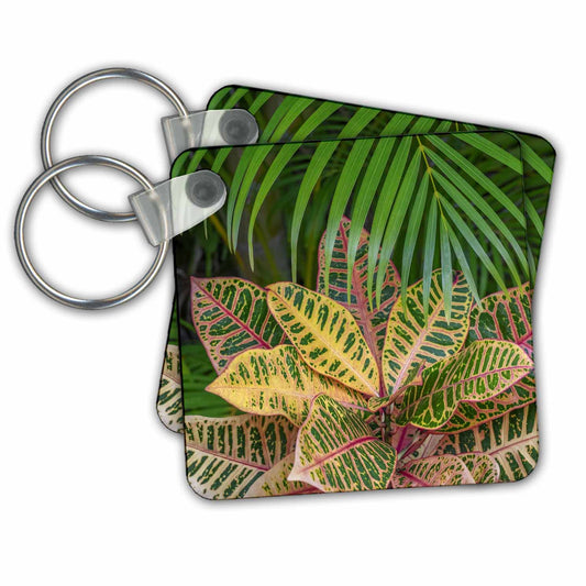 Key Chain - Palm fronds and Croton plants. Leaves