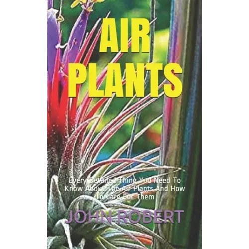 Air Plants: Every Detailed Thing You Need To Know About The Air Plants And How To Care For Them
