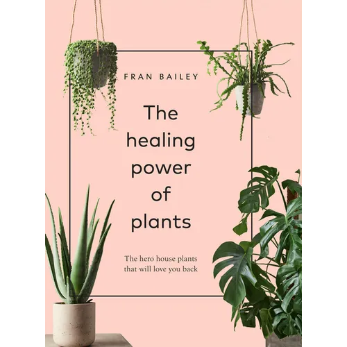 The Healing Power of Plants: The Hero Houseplants That Will Love You Back