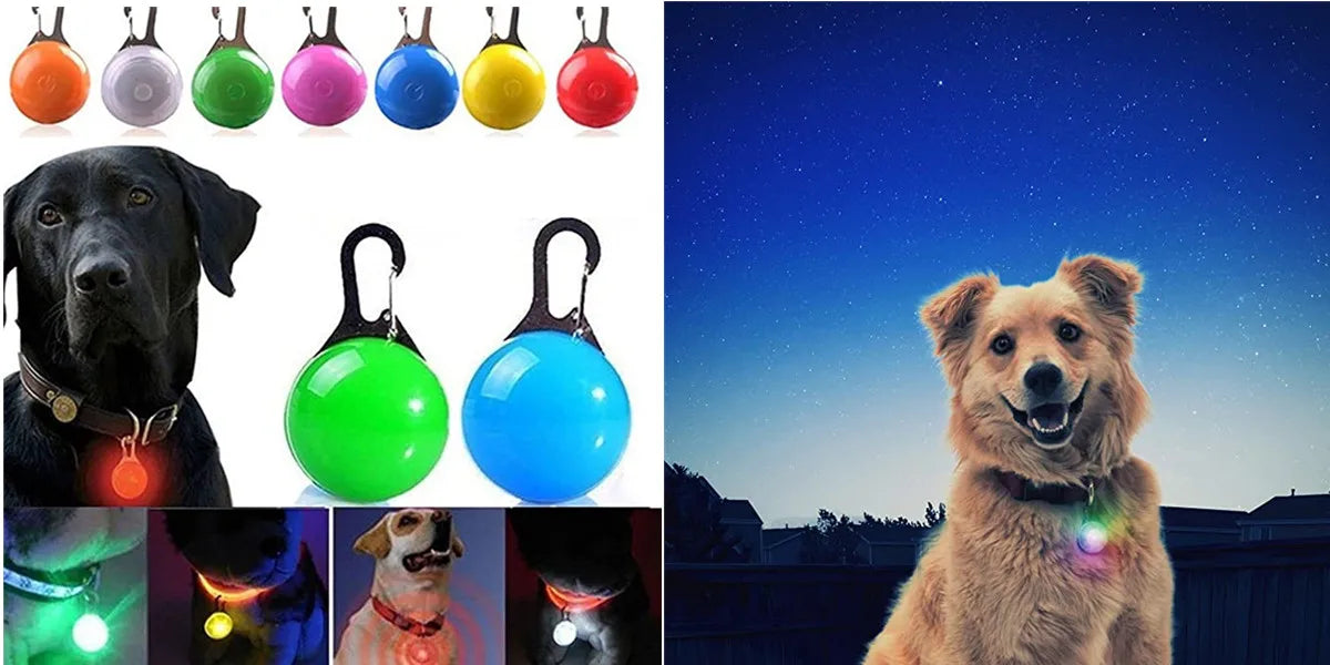 USB Rechargeable LED Glowing Dog Collar – Adjustable Night Safety