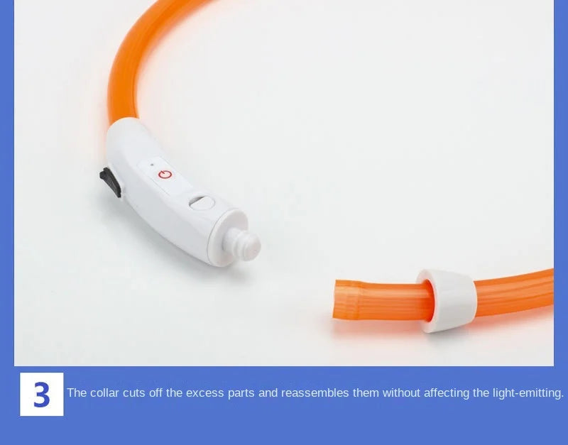 USB Rechargeable LED Glowing Dog Collar – Adjustable Night Safety
