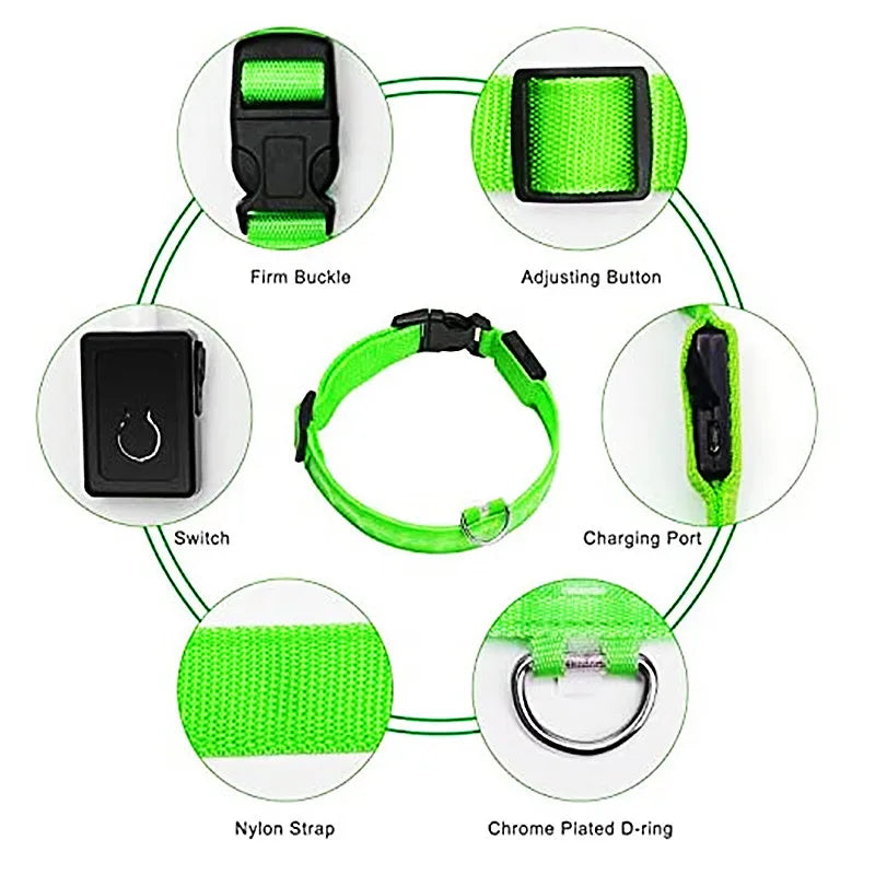 USB Rechargeable LED Glowing Dog Collar – Adjustable Night Safety