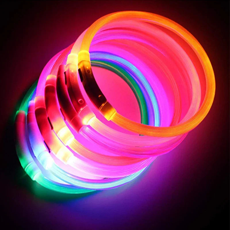 USB Rechargeable LED Glowing Dog Collar – Adjustable Night Safety