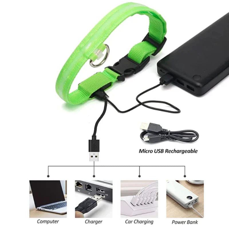 USB Rechargeable LED Glowing Dog Collar – Adjustable Night Safety