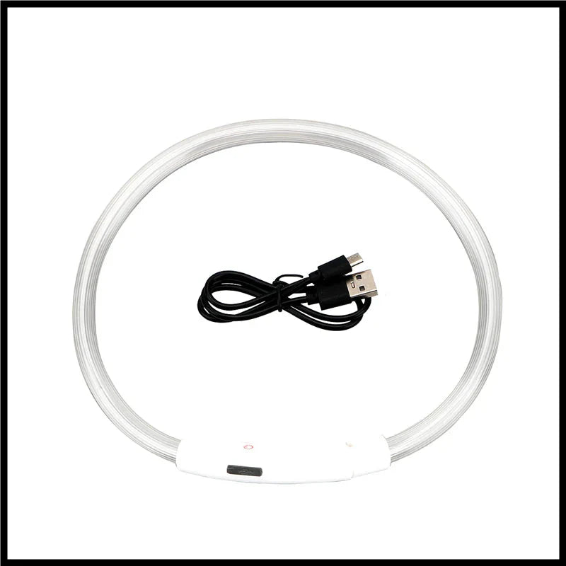 USB Rechargeable LED Glowing Dog Collar – Adjustable Night Safety