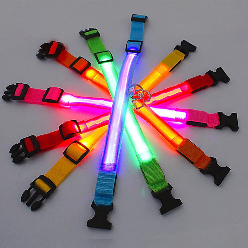 USB Rechargeable LED Glowing Dog Collar – Adjustable Night Safety