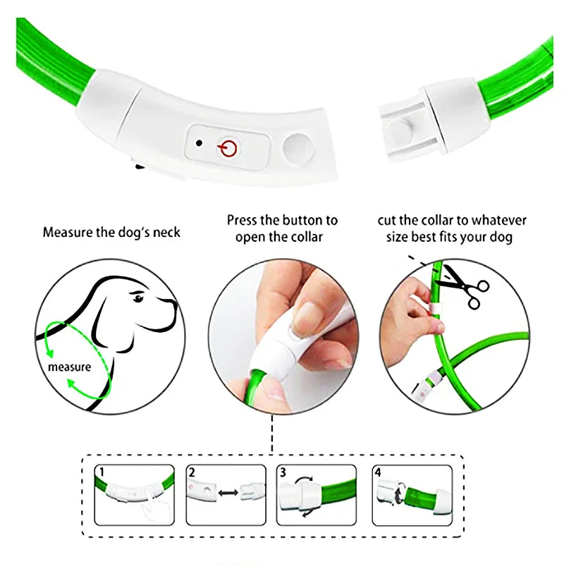 USB Rechargeable LED Glowing Dog Collar – Adjustable Night Safety