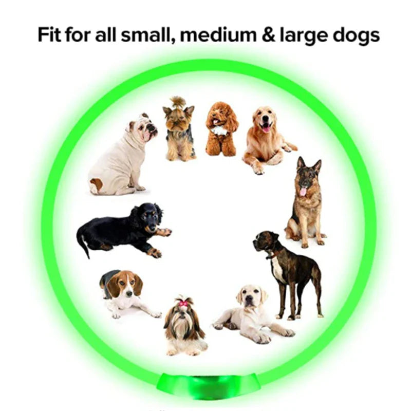 USB Rechargeable LED Glowing Dog Collar – Adjustable Night Safety