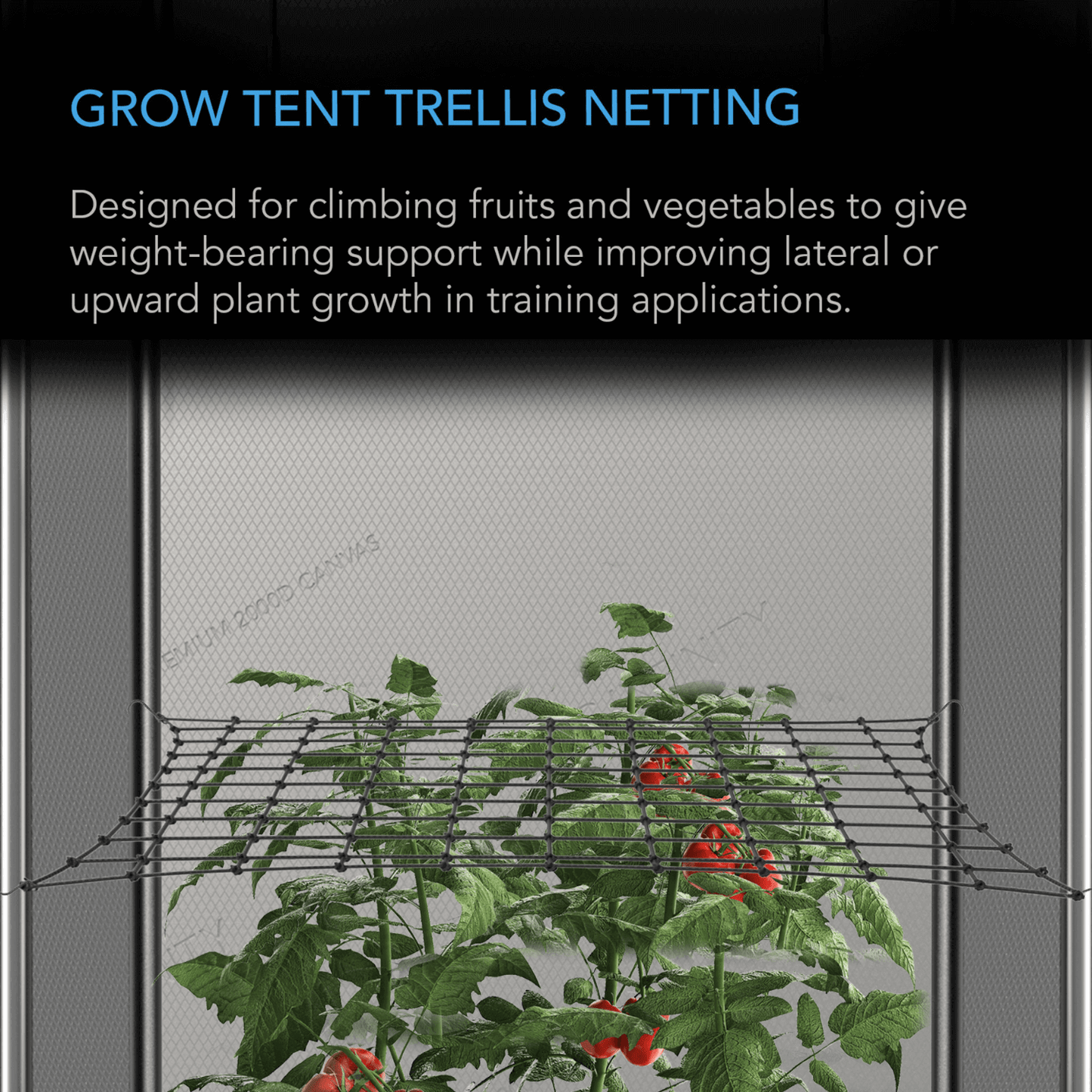 AC Infinity Grow Tent Trellis Netting, Flexible Elastic Cords, 2x4'